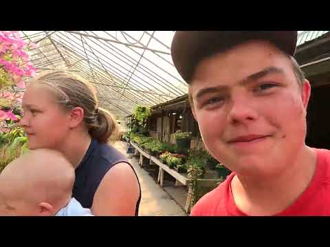 Видео: Где мы собираем клубнику?!