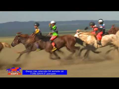 Видео: 2015 оны ГОВЬ ШАНХ 5 уралдаан  Азарга