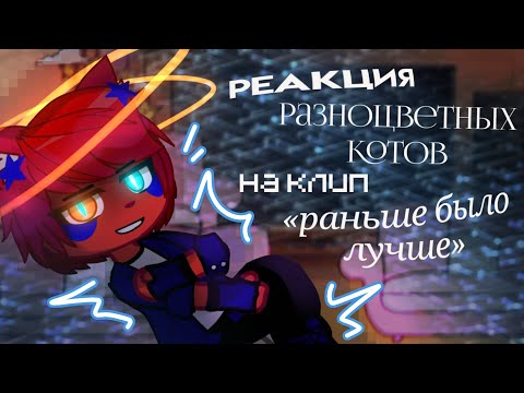 Видео: реакция разноцветных котов на клип «раньше было лучше»