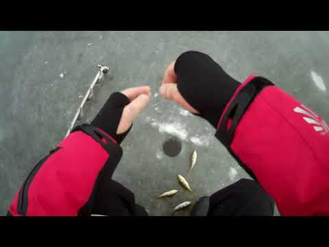 Видео: Учимся ловить на блесну со льда