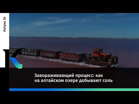 Видео: Завораживающий процесс: как на алтайском озере добывают соль