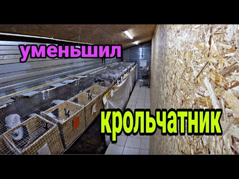 Видео: Обзор на уменьшенный крольчатник. Новый МИНИ крольчатник.