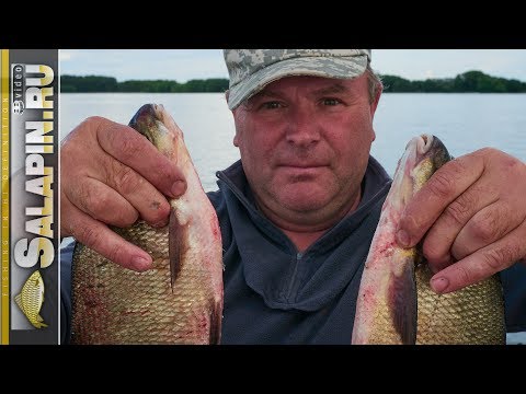 Видео: Рыбалка с лодки бортовыми удочками [salapinru]
