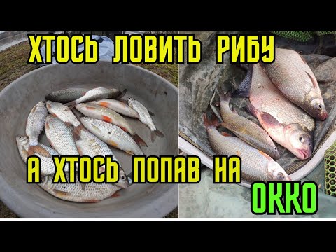 Видео: Відкриття фідерного сезону!!!! Зимовий фідер!!! + КОНКУРС
