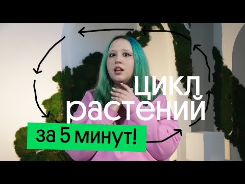 Видео: ЦИКЛ РАСТЕНИЙ ЗА 5 МИНУТ! | ОГЭ по биологии