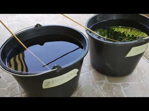 Видео: Подкисляване на почвеният субстрат на боровинките