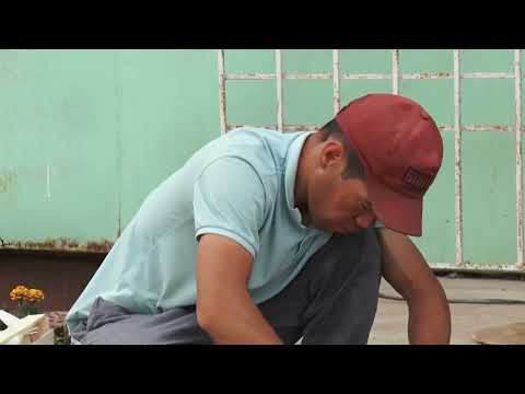 Видео: Кулпунай өндүрүү бизнеси