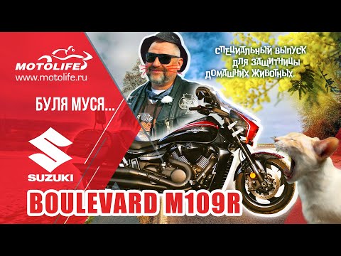 Видео: Suzuki M109R Boulevard | Обзор | Кулак Дружбы 2020