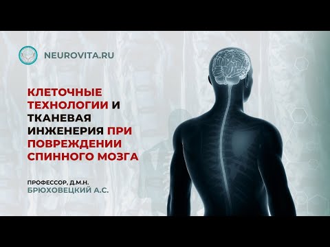 Видео: Клеточные технологии и тканевая инженерия при повреждении спинного мозга