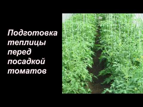 Видео: Подготовка теплицы перед посадкой томатов