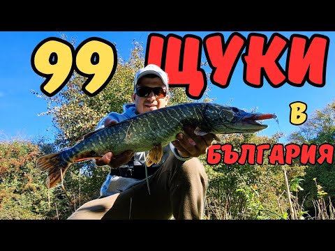 Видео: ЩУКАРСКИ РАЙ! ДЕСЕТКИ ЩУКИ хванати в БЪЛГАРИЯ! РИБА СЛЕД РИБА!