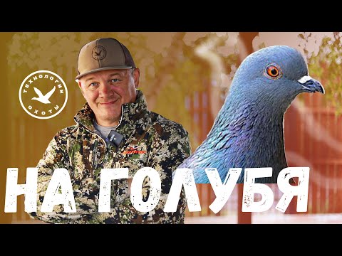 Видео: Первая охота на голубя-клинтуха в 2025 году