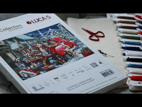 Видео: Новий старт / Lucas Різдвяні песики / пухНатка / дещо дуже особисте💔 