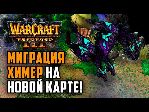 Видео: МИГРАЦИЯ ХИМЕР НА НОВОЙ КАРТЕ: TGW (Ne) vs Starbuck (Orc) Warcraft 3 Reforged