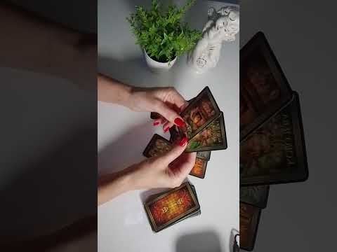 Видео: 🌿♦️ТАРО ДЛЯ МУЖЧИН 💯 ОЧЕНЬ ТОЧНЫЙ ПРОГНОЗ ДЛЯ ВАС ‼️🌿💯💯