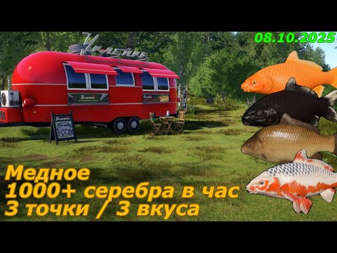 Видео: Точки клева на озере Медном | Русская Рыбалка 4 | Гайд по лучшим местам