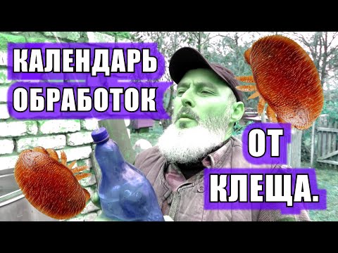 Видео: КАЛЕНДАРЬ ОБРАБОТКИ ОТ КЛЕЩА ВАРРОА