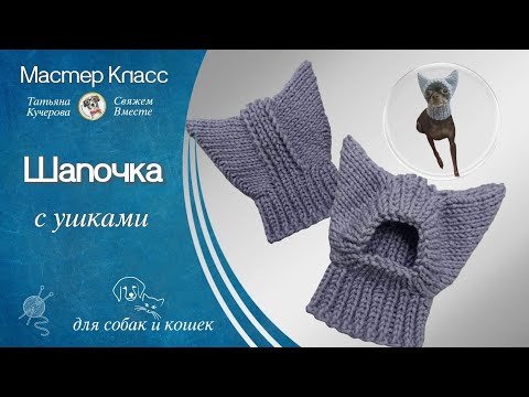 Видео: Шапочка с ушками для собак и кошек, DIY Hat for dogs and cats