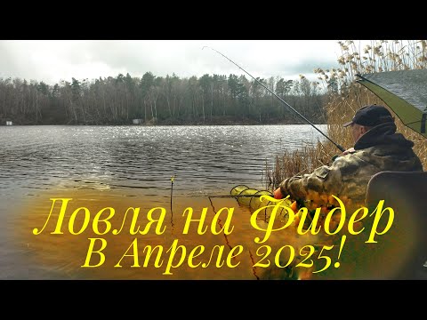 Видео: ЛУЧШИЙ КЛЁВ -  В СНЕГОПАД И СИЛЬНЫЙ ВЕТЕР! ЗАЧЁТНАЯ ФИДЕРНАЯ РЫБАЛКА НА ПЕРЕЛОМЕ ПОГОДЫ!