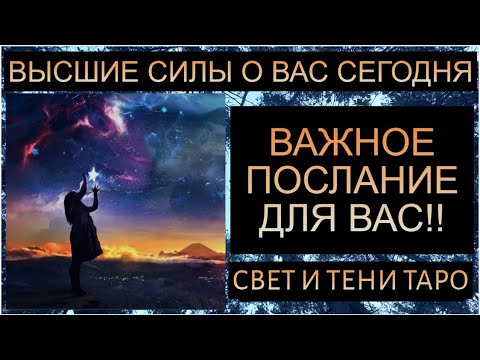 Видео: ВЫСШИЕ СИЛЫ О ВАС СЕГОДНЯ: ВАЖНОЕ ПОСЛАНИЕ ДЛЯ ВАС!! #таро #таросегодня #таропрогноз