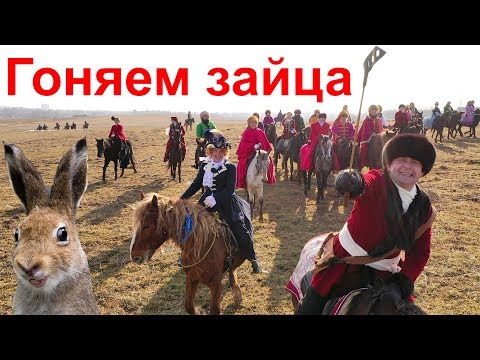 Видео: "Аванпост". Охота. Как поймать зайца. Честное расследование!