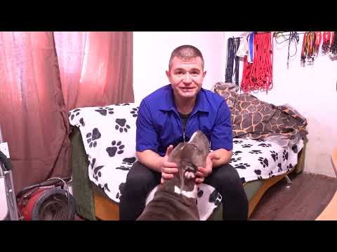 Видео: Игнорировать нельзя наказывать, расставляем запятые