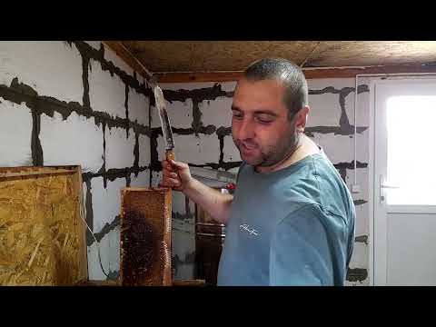 Видео: Інформація по маткам. На 17 число маток небуде