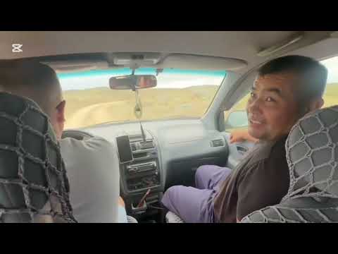 Видео: Бүркітұя