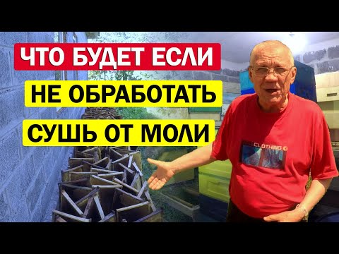 Видео: Как СОХРАНИТЬ Сушь от моли? Когда МОЛЬ уже завелась.