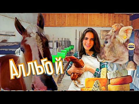 Видео: Ферма с разными направлениями. Свиньи, лошади, ламы,туризм | Ферма в Германии #деньвдеревне #farm