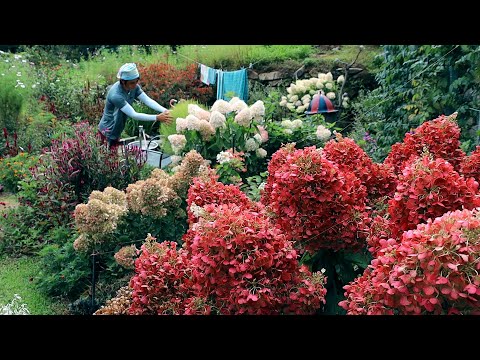 Видео: Загородный дом, где дует прохладный осенний ветер