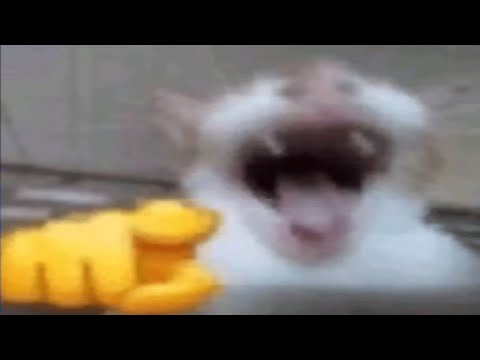 Видео: Вышедшее #86 ● BlackSilverUFA