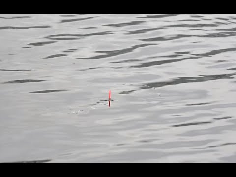 Видео: Обзор поплавков Волжанка второго класса для ловли на течении