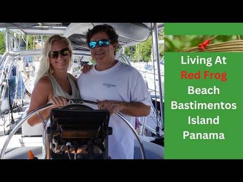 Видео: Жизнь на пляже Ред-Фрог на острове Бастиментос в Панаме