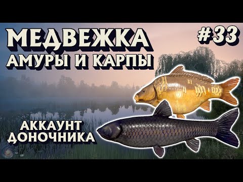 Видео: Аккаунт доночника #33 | Амур черный + Карпы | оз. Медвежье | Русская Рыбалка 4