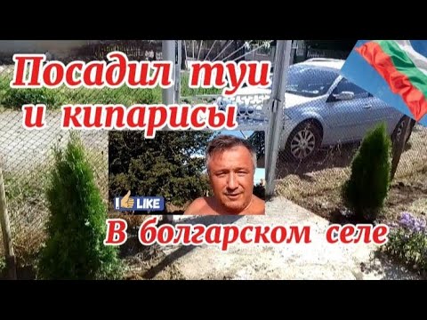 Видео: Болгария. Не все корни хорошие. Приживутся ли в земле? Жизнь в селе. 