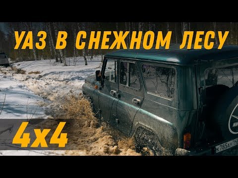 Видео: Поставили 32 колеса на стандартный УАЗ. Ночь в лесу. Проект Батя.