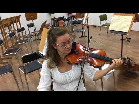 Видео: Цигулка - устройство, щрихи, интересни факти