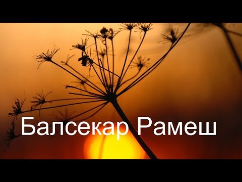 Видео: Стадии понимания - горы и реки. Балсекар Рамеш - Сознание говорит