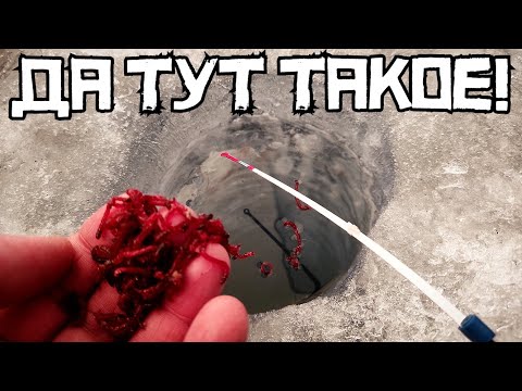 Видео: РЫБАЛКА В ЯНВАРЕ ВЫДАЛА ЭТО! Открыли год в НОВОМ МЕСТЕ! Зимняя рыбалка 2025