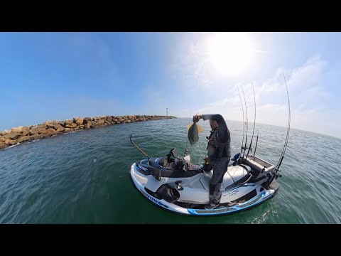 Видео: Лучший улов на волнорезе Лонг-Бич! (плюс «Поймай и приготовь»)