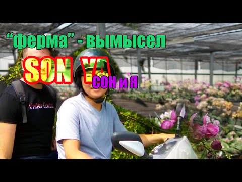 Видео: Son Ya вся правда о вымысле. Визит к несуществующему поставщику