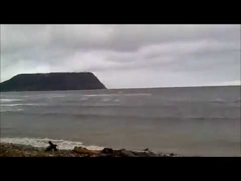 Видео: Сизиман 2011