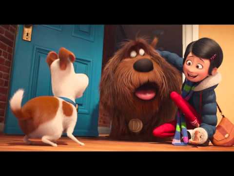 Видео: Тайная жизнь домашних животных. НОВЫЙ ТРЕЙЛЕР