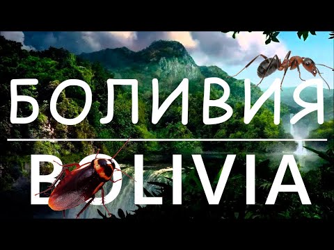 Видео: Путешествие в БОЛИВИЮ. УЖАСЫ джунглей // THE HORRORS OF BOLIVIA (with subtitles)