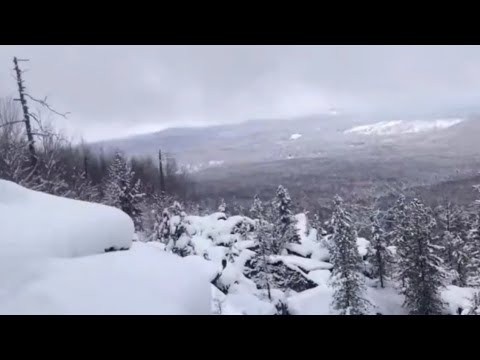 Видео: Томский блогер случайно обнаружил точку откуда могли звонить Усольцевы