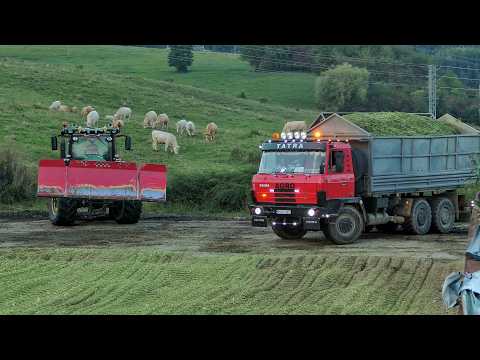 Видео: Силосование Работы на силосохранилище с тракторами 3x John Deere, Case IH, JCB, Claas и 4x Tatra 815