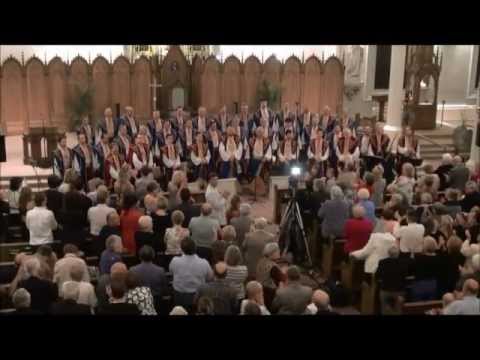 Видео: «Пісня про Тютюнника» by the Ukrainian Bandurist Chorus