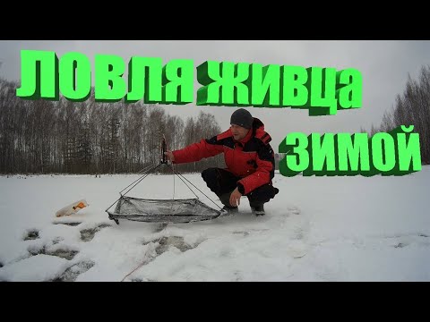 Видео: Зимний подъемник, малявочник, паук  Принцип работы  Ловля живца зимой  Верховка