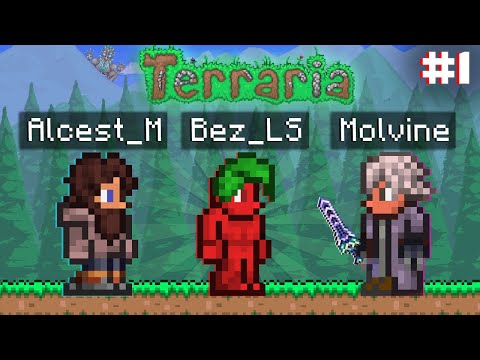 Видео: БЛС , МОЛВИН и АЛЬЦЕСТ ПРОХОДЯТ TERRARIA С МОДАМИ | #1